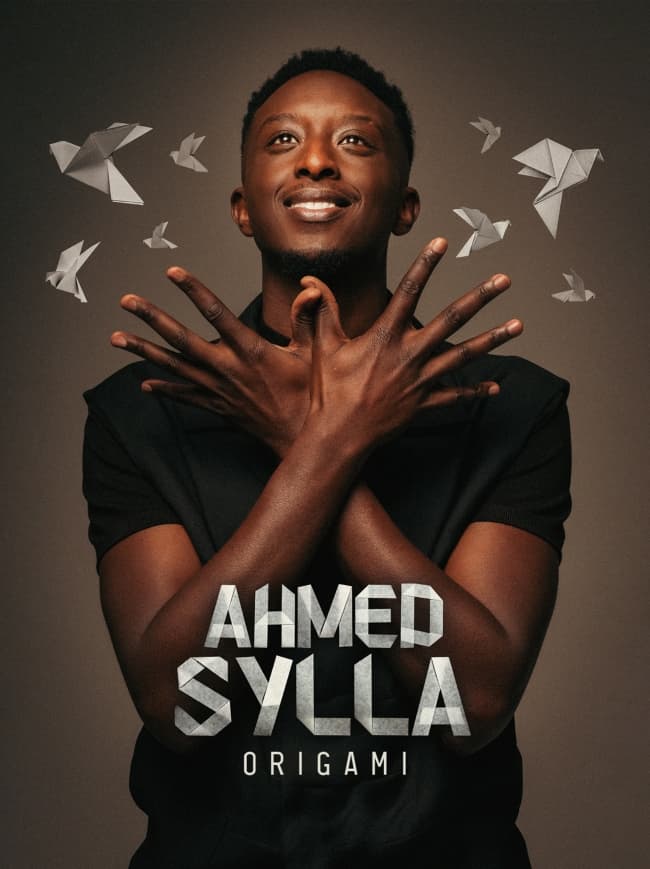Ahmed Sylla - Origami
